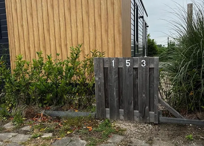 Your B. Nieuwe-Tonge